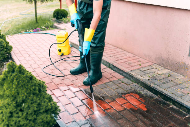 Best Patio and Deck Pressure Washing  in , MN