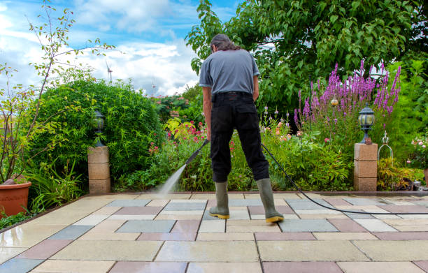 Best Animal Enclosure Cleaning  in , MN